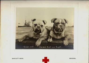 Photograph - TWO BULLDOGS, BATTLESHIPS IN BACKGROUND, 1914 - 1919