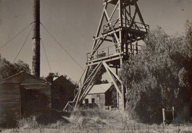 Photograph - NEW HUSTLER'S, EAGLEHAWK, c.1950