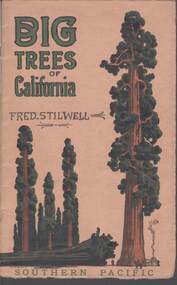 Book - STILWELL COLLECTION: BIG TREES OF CALIFORNIA, 1914