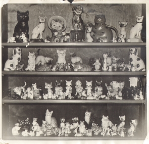 Photograph - PART COLLECTION OF CATS OF LYDIA CHANCELLOR
