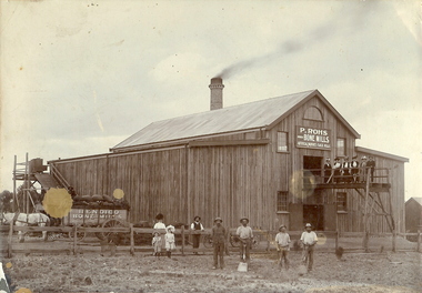 Photograph - BENDIGO BONE MILLS, c1880