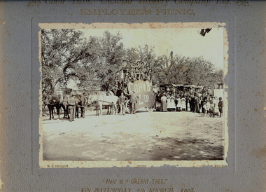 Photograph - COHN BROS. EMPLOYEES PICNIC, 7th March, 1903