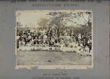 Photograph - COHN BROS BREWERY PICNIC GROUP PHOTOGRAPH, 7th March, 1903