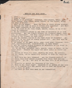 Document - MERLE BUSH COLLECTION: STUDY PAGE