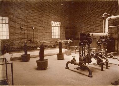 Photograph - BASIL MILLER COLLECTION: TRAMS - STEAM PIPES AND POTTED TREE FERNS