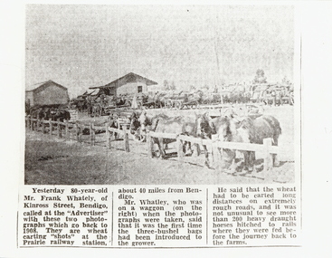 Photograph - BENDIGO VIEWS - 1908 - PRARIE FARMING, 1908