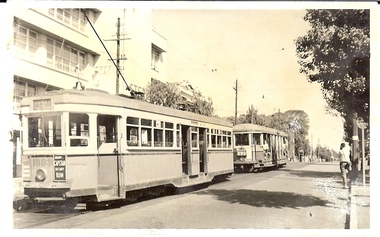 Photograph - BASIL MILLER COLLECTION: SYDNEY TRAMS