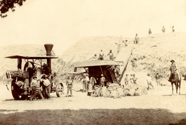 Photograph - HARRIS COLLECTION: STEAM TRACTOR DRIVING THRESHER  HARRIS FAMILY AXEDALE, 1900?