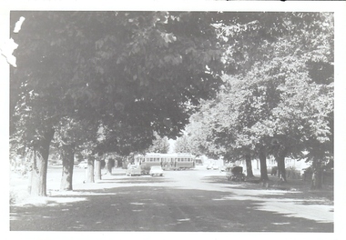 Photograph - BASIL MILLER COLLECTION: TRAMS