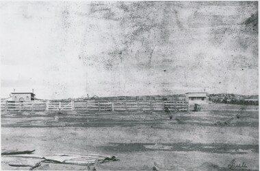 Photograph - CATTLE SALEYARDS, 1861