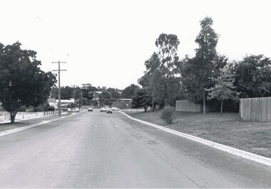 Photograph - SAILORS GULLY ROAD, 1995