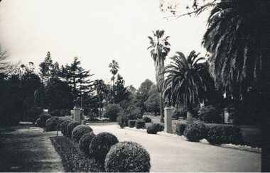 Photograph - CANTERBURY GARDENS: EAGLEHAWK