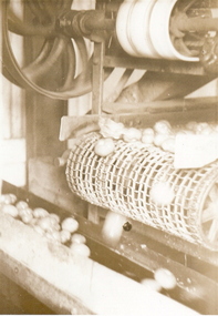 Photograph - ROSELLA PRESERVING FACTORY