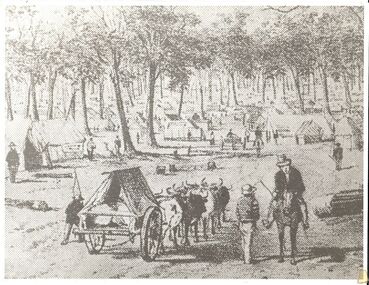 Photograph - BASIL MILLER COLLECTION: TENTS AMONGST TREES