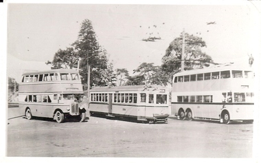 Photograph - BASIL MILLER COLLECTION: TRAM AND BUSES