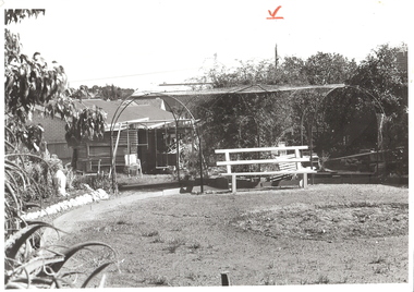 Photograph - ARBOR: BACK YARD, 1960 's ?