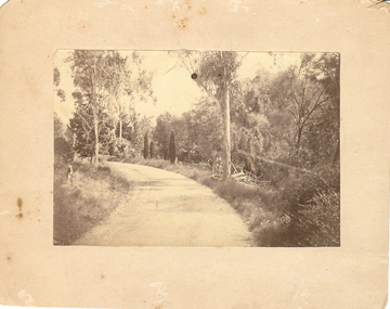 Photograph - BOTANICAL GARDENS