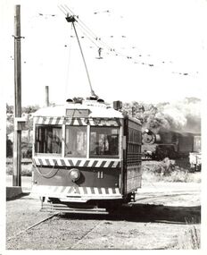 Photograph - BASIL MILLER COLLECTION: TRAM - BENDIGO TRAMWAYS