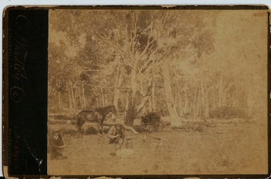 Photograph - HORSE AND JINKER, 1920's ?