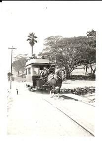Photograph - BASIL MILLER COLLECTION: HORSEDRAWN TRAM - SMALL