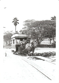 Photograph - BASIL MILLER COLLECTION: HORSEDRAWN TRAM