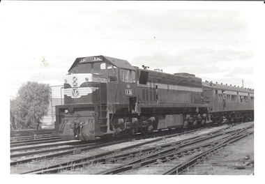Photograph - BASIL MILLER COLLECTION: VICTORIAN RAILWAYS LOCOMOTIVE