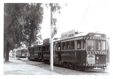 Photograph - BASIL MILLER COLLECTION: NO 5 TRAM AND OTHERS