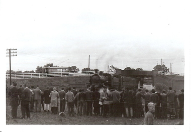 Photograph - BASIL MILLER COLLECTION: JOB'S GULLY RAILWAY BRIDGE