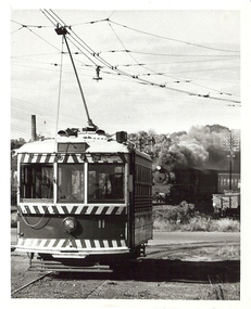 Photograph - BASIL MILLER COLLECTION: TRAM - BENDIGO TRAMWAYS, unknown