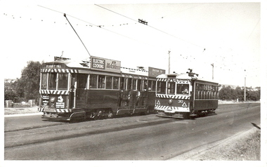 Photograph - BASIL MILLER COLLECTION: TRAMS -  BENDIGO TRAMWAYS