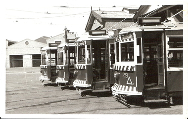 Photograph - BASIL MILLER COLLECTION:  BIRNEY TRAMS - BENDIGO TRAMWAYS