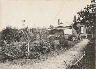 Photograph - T C WATTS & SON COLLECTION: 'TIRRANNIE'  GOLDEN SQUARE, 1929