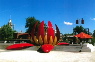 Photograph - JOHN WILLIAMS COLLECTION: PHOTOGRAPH LOTUS FLOWER MODEL, CHINESE DRAGON MUSEUM