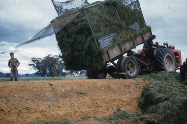 Slide - Mouat Crawford Collection: Farming Life in the Wimmera, c1962