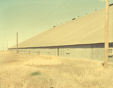 Slide - Mouat Crawford Collection: Farming Life in the Wimmera