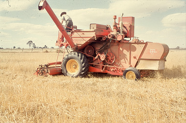 Slide - Mouat Crawford Collection: Farming Life in the Wimmera, c1960s