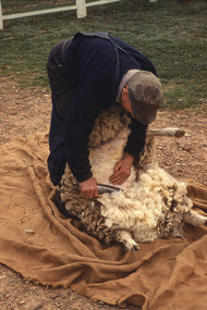 Slide - Mouat Crawford Collection: Farming Life in the Wimmera, c1960s