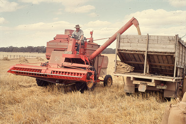 Slide - Mouat Crawford Collection: Farming Life in the Wimmera, c1960s