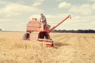 Slide - Mouat Crawford Collection: Farming Life in the Wimmera, c1960s