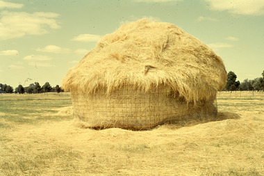Slide - Mouat Crawford Collection: Farming Life in the Wimmera, c1960s