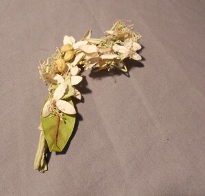 Ephemera - MERLE HOULDEN COLLECTION: ORANGE BLOSSOM WEDDING LAPEL ORNAMENT, 1880's