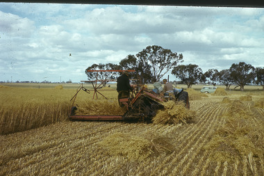 Slide - Mouat Crawford Collection: Farming Life in the Wimmera, c1960s