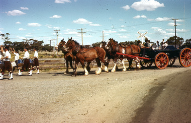 Slide - Mouat Crawford Collection: Farming Life in the Wimmera, c1960s