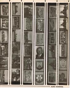Photograph - LA TROBE UNIVERSITY BENDIGO COLLECTION: SPECIMEN PRINTS