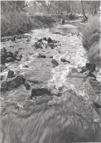 Photograph - BENDIGO ADVERTISER COLLECTION:  BULLOCK CREEK LOCKWOOD SOUTH, 10/08/1993