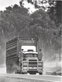 Photograph - BENDIGO ADVERTISER COLLECTION: MCKIBBINS CATTLE TRUCK LOCKWOOD SOUTH, 10/08/1993