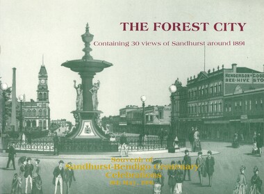 Book - THE FOREST CITY, 1991