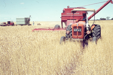 Slide - Mouat Crawford Collection: Farming Life in the Wimmera, c1960s