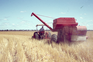Slide - Mouat Crawford Collection: Farming Life in the Wimmera, c1960s
