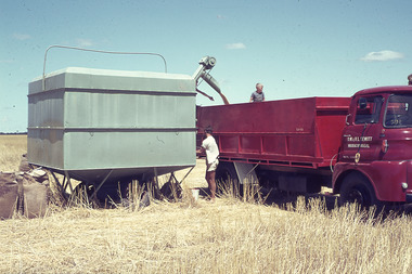 Slide - Mouat Crawford Collection: Farming Life in the Wimmera, c1960s